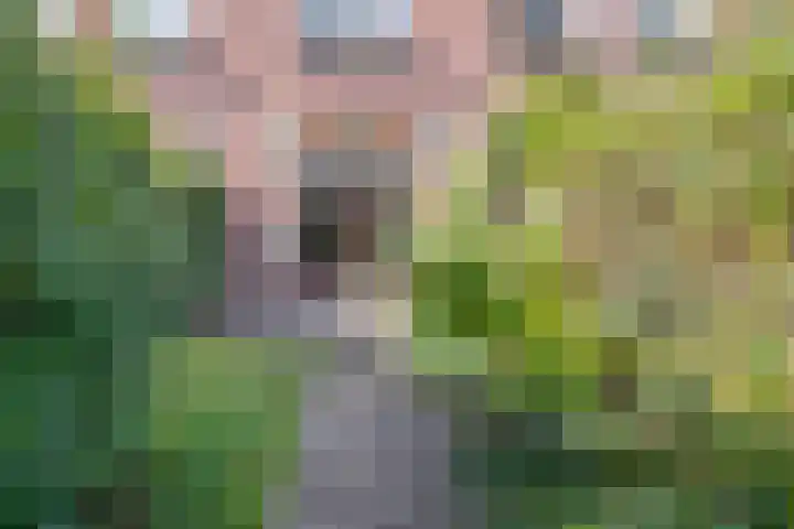 Graaf Lodewijklaan 47 Amersfoort thumbnail 33