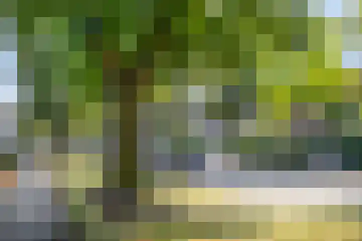 Graaf Lodewijklaan 47 Amersfoort thumbnail 35