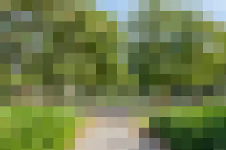 Graaf Lodewijklaan 47 Amersfoort thumbnail 37