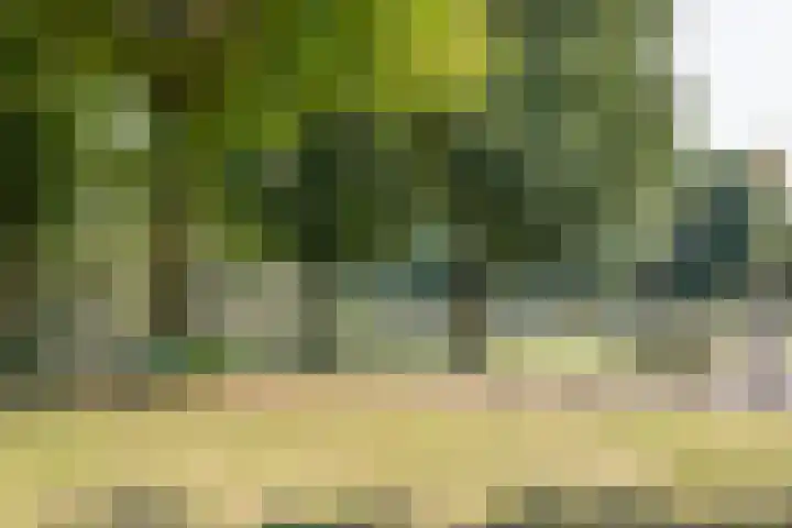 Graaf Lodewijklaan 47 Amersfoort thumbnail 38