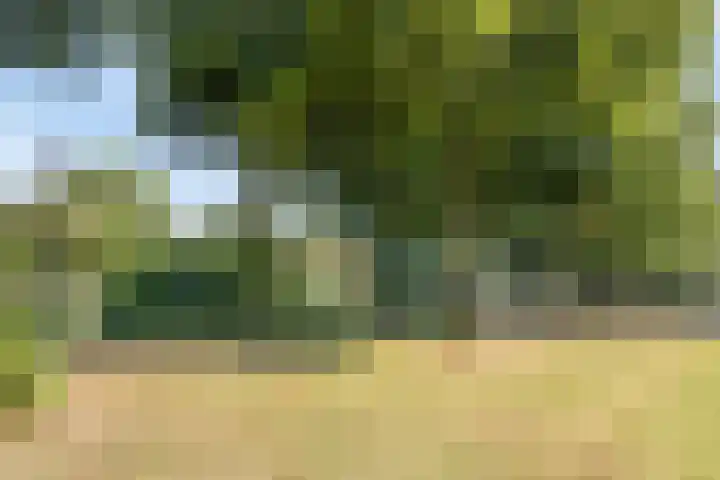 Graaf Lodewijklaan 47 Amersfoort thumbnail 39