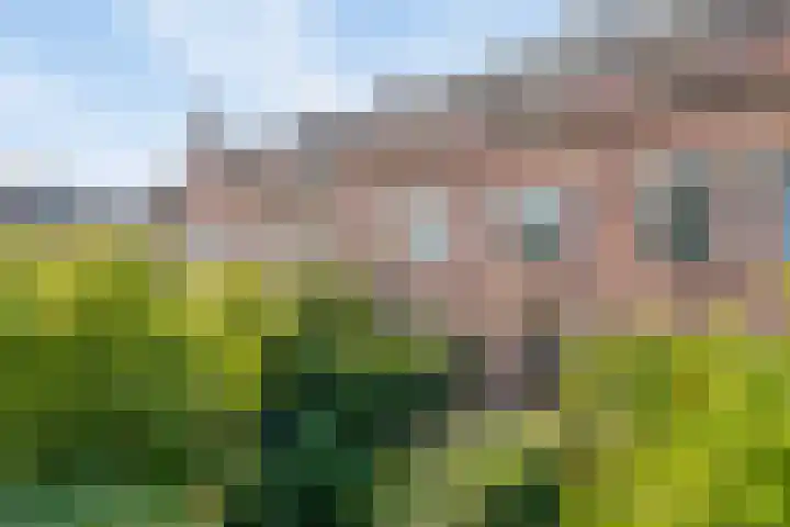 Graaf Lodewijklaan 47 Amersfoort thumbnail 6