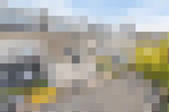 Graaf Lodewijklaan 47 Amersfoort thumbnail 7