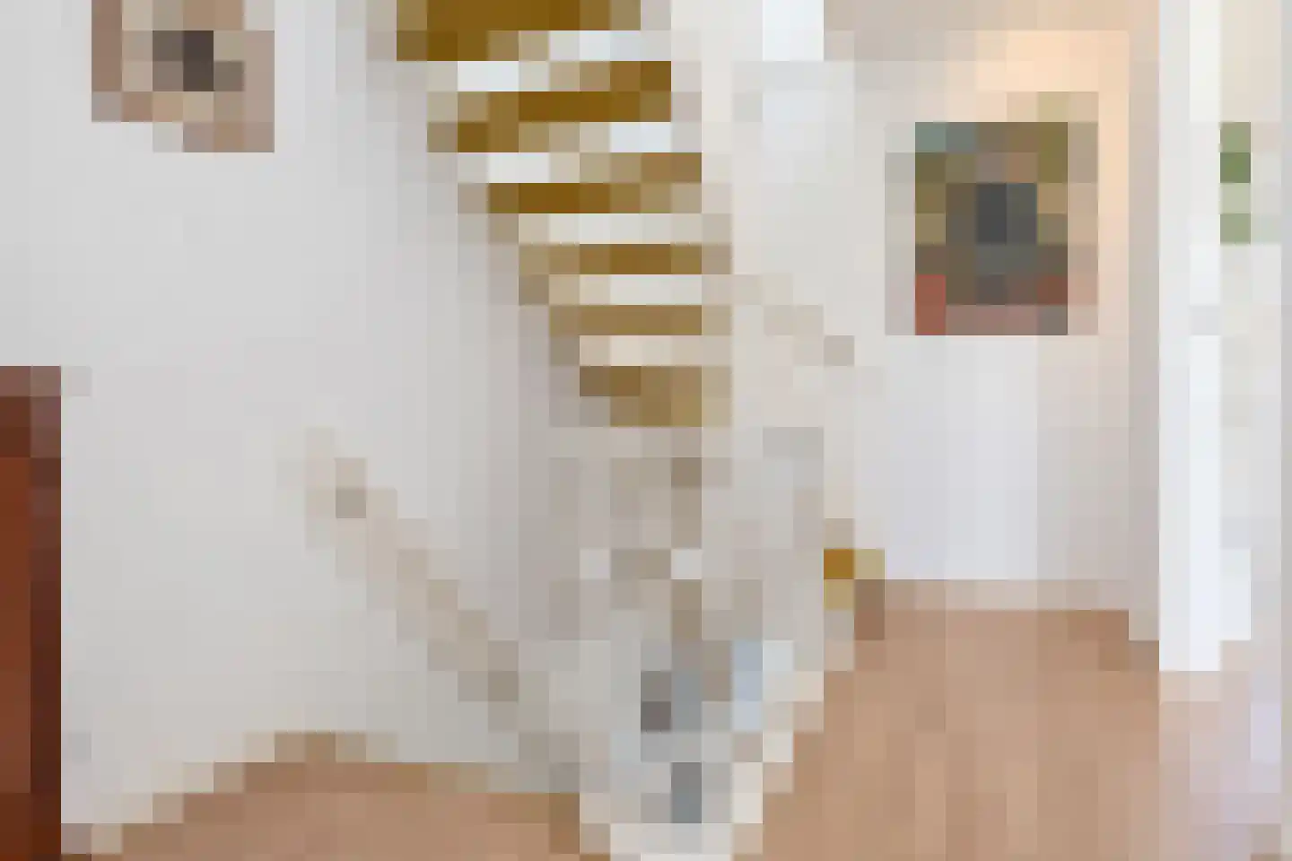 Graaf Lodewijklaan 6 Leidschendam thumbnail 15