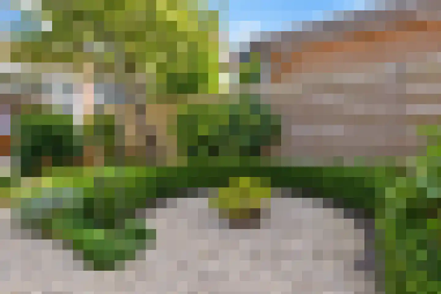 Graaf Lodewijklaan 6 Leidschendam thumbnail 30