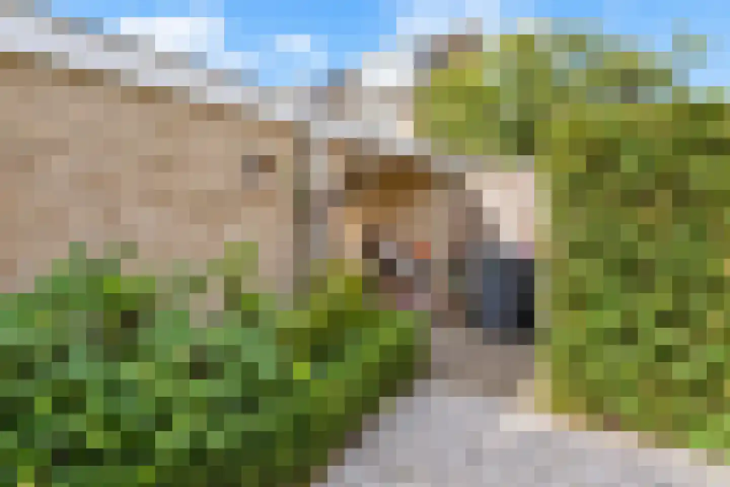 Graaf Lodewijklaan 6 Leidschendam thumbnail 34