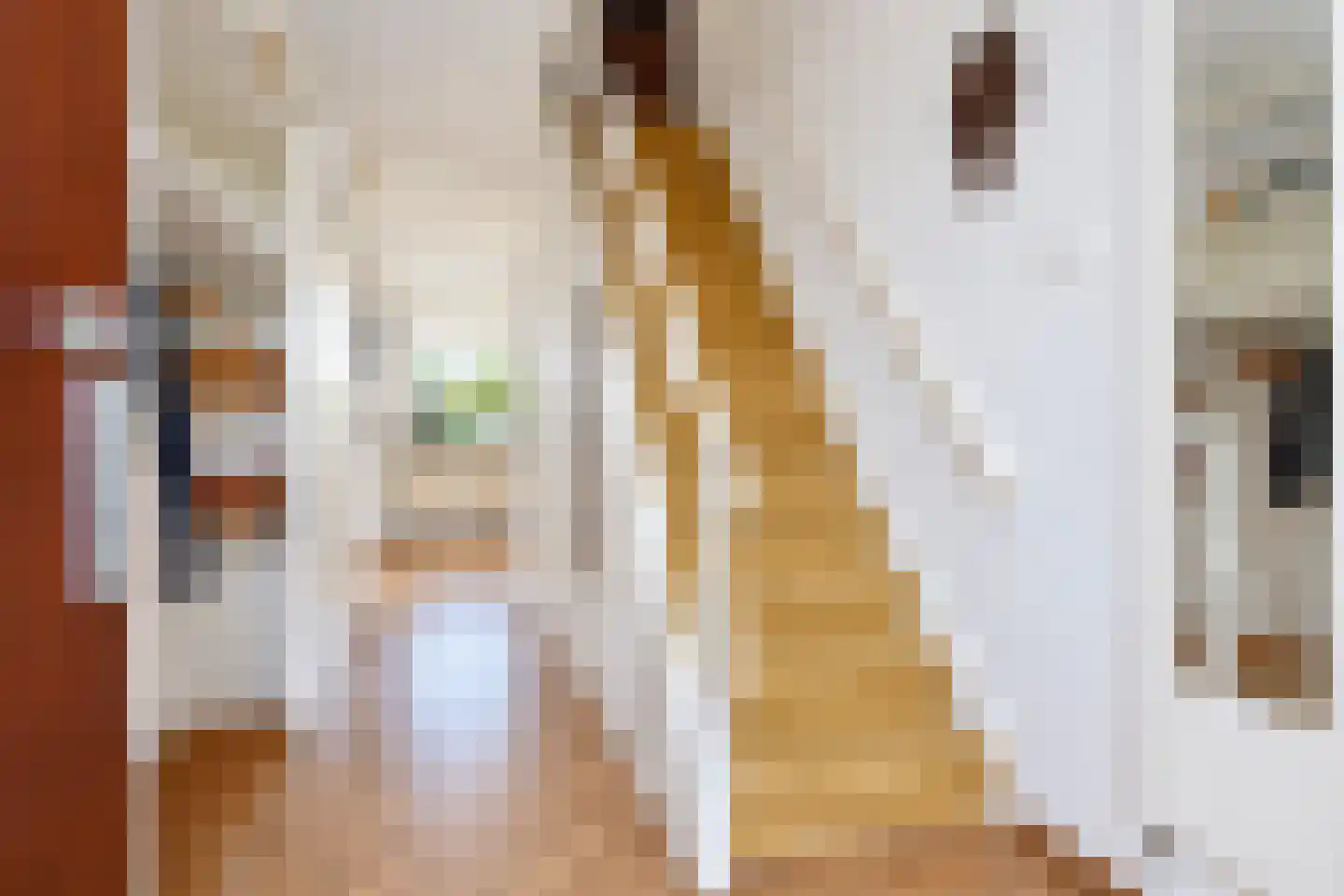 Graaf Lodewijklaan 6 Leidschendam thumbnail 5