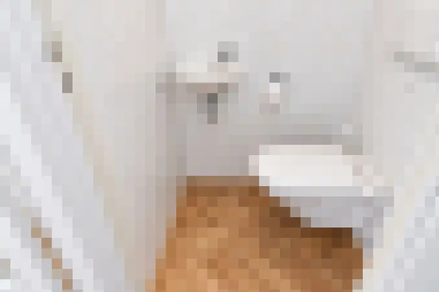 Graaf Lodewijklaan 6 Leidschendam thumbnail 6