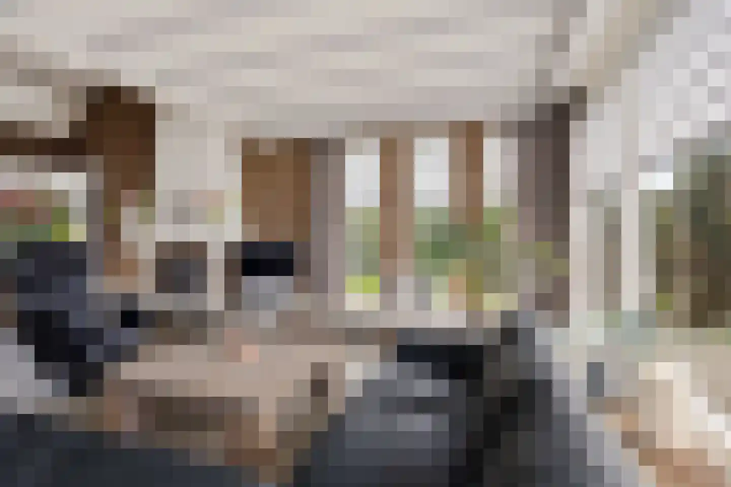 Graaf Lodewijklaan 7 Zwartsluis thumbnail 16