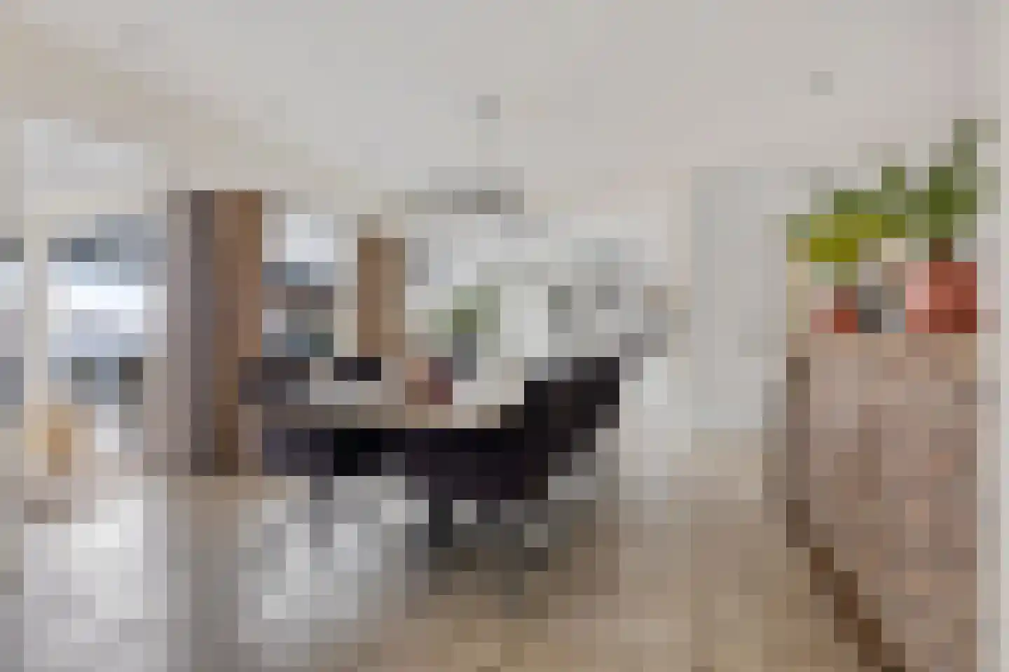 Graaf Lodewijklaan 7 Zwartsluis thumbnail 18