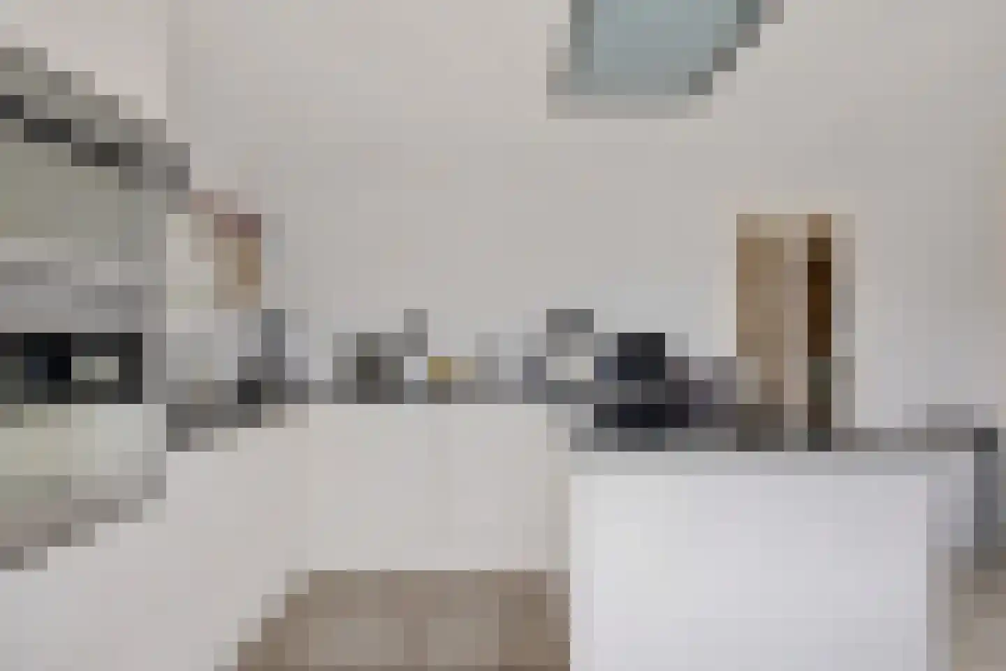 Graaf Lodewijklaan 7 Zwartsluis thumbnail 22