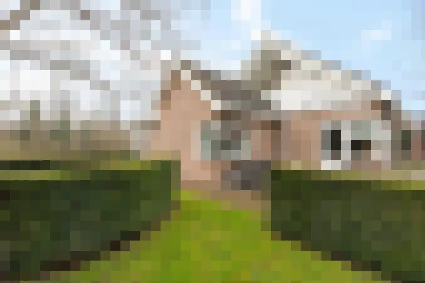 Graaf Lodewijklaan 7 Zwartsluis thumbnail 25