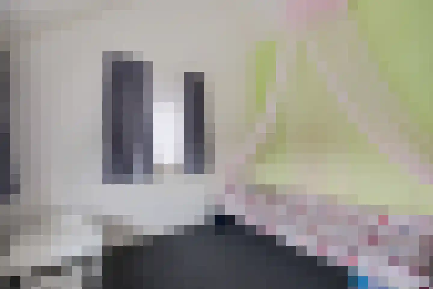 Graaf Lodewijklaan 7 Zwartsluis thumbnail 37