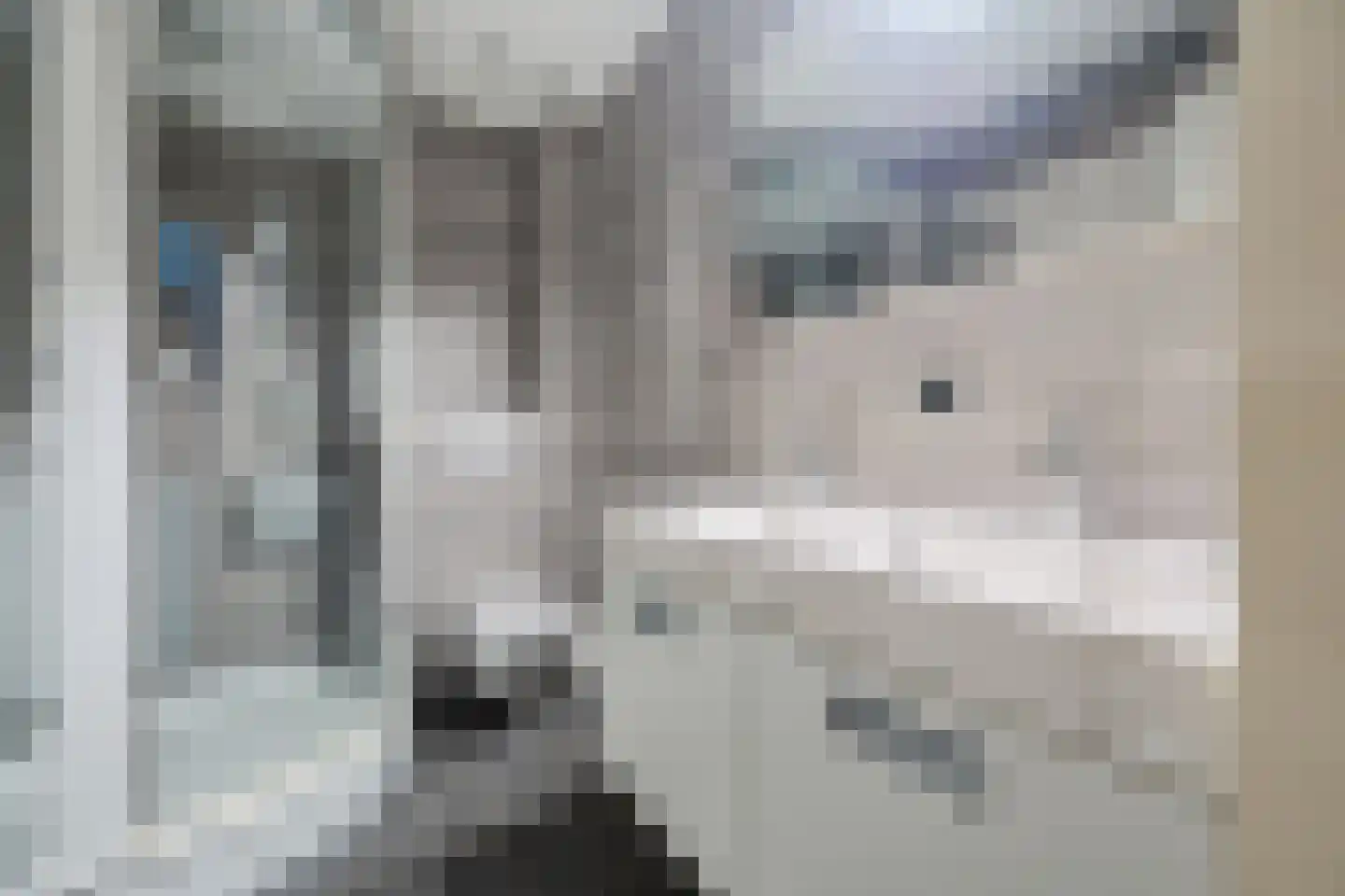 Graaf Lodewijklaan 7 Zwartsluis thumbnail 38