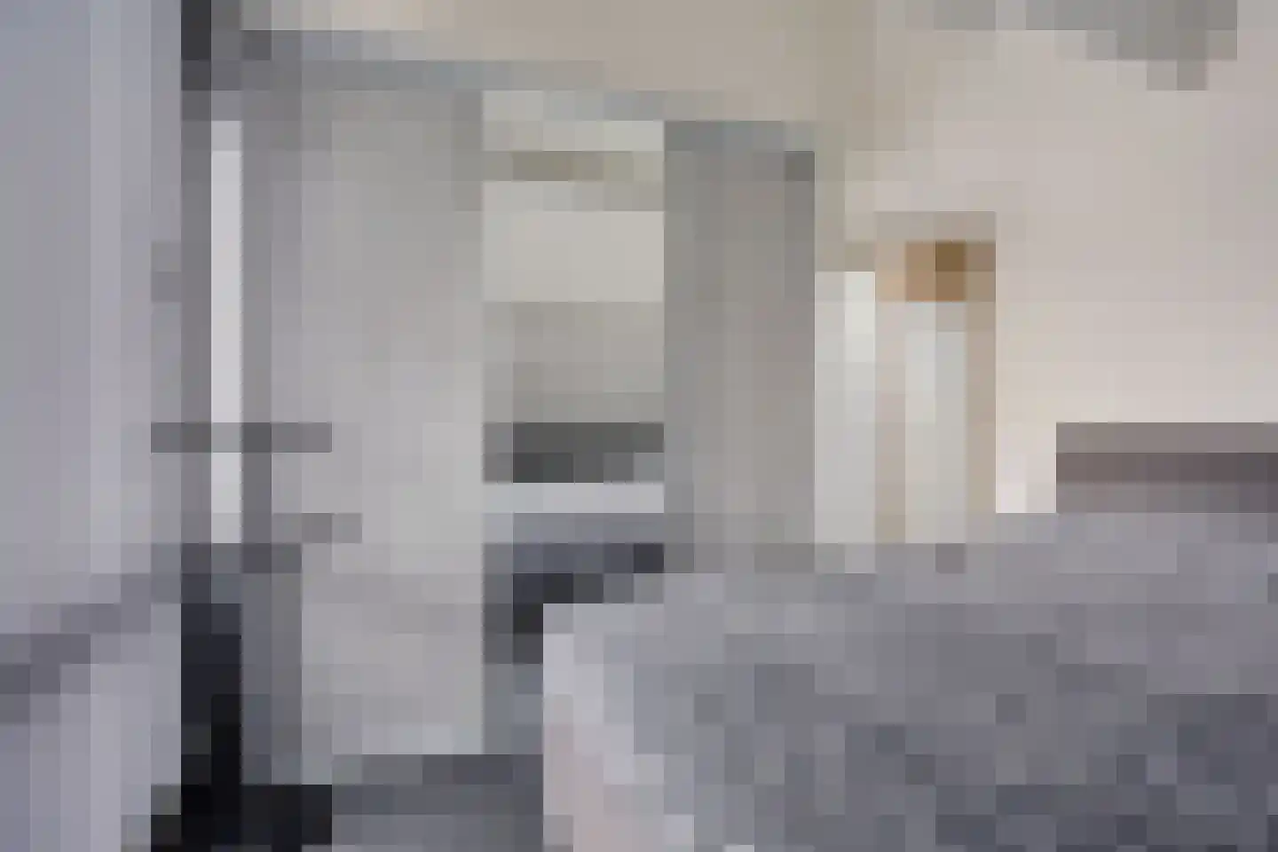 Graaf Lodewijklaan 7 Zwartsluis thumbnail 43
