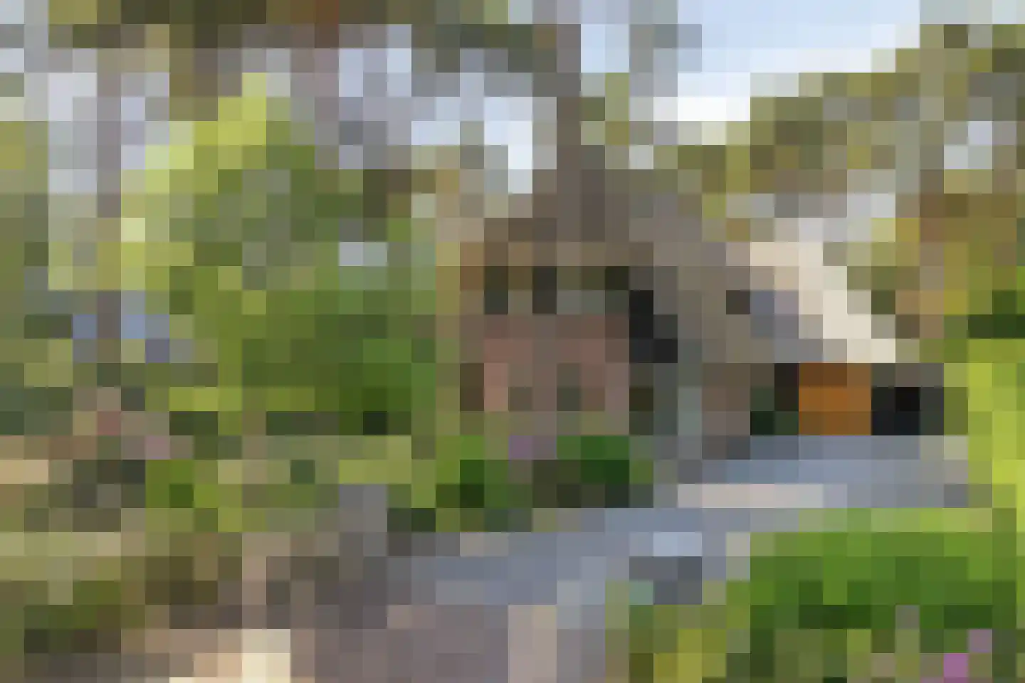 Graaf Lodewijklaan 9 B Zeist