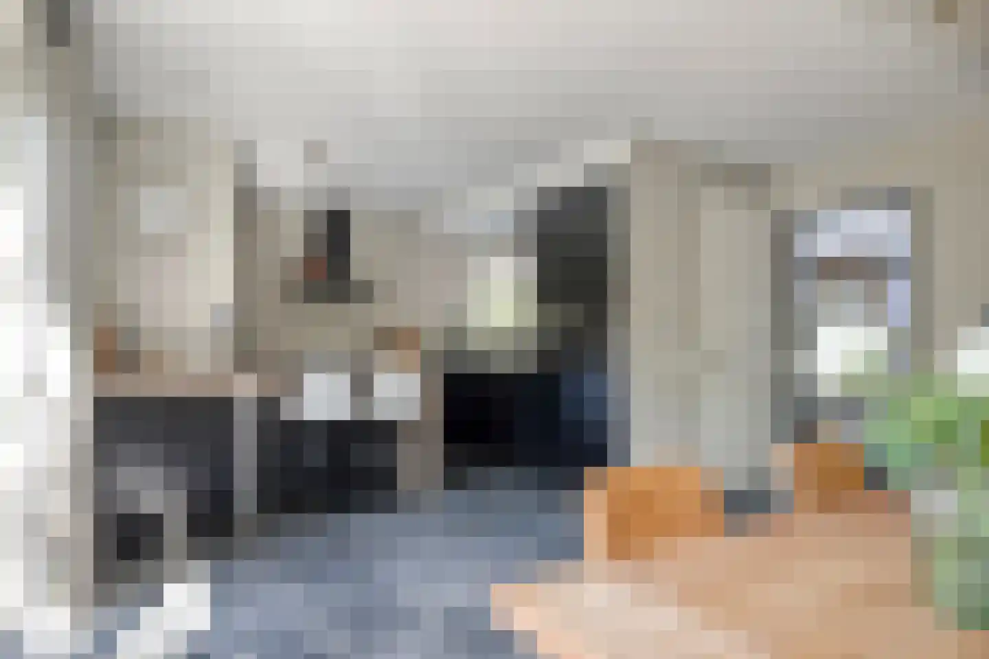 Graaf Lodewijklaan 9 B Zeist thumbnail 13