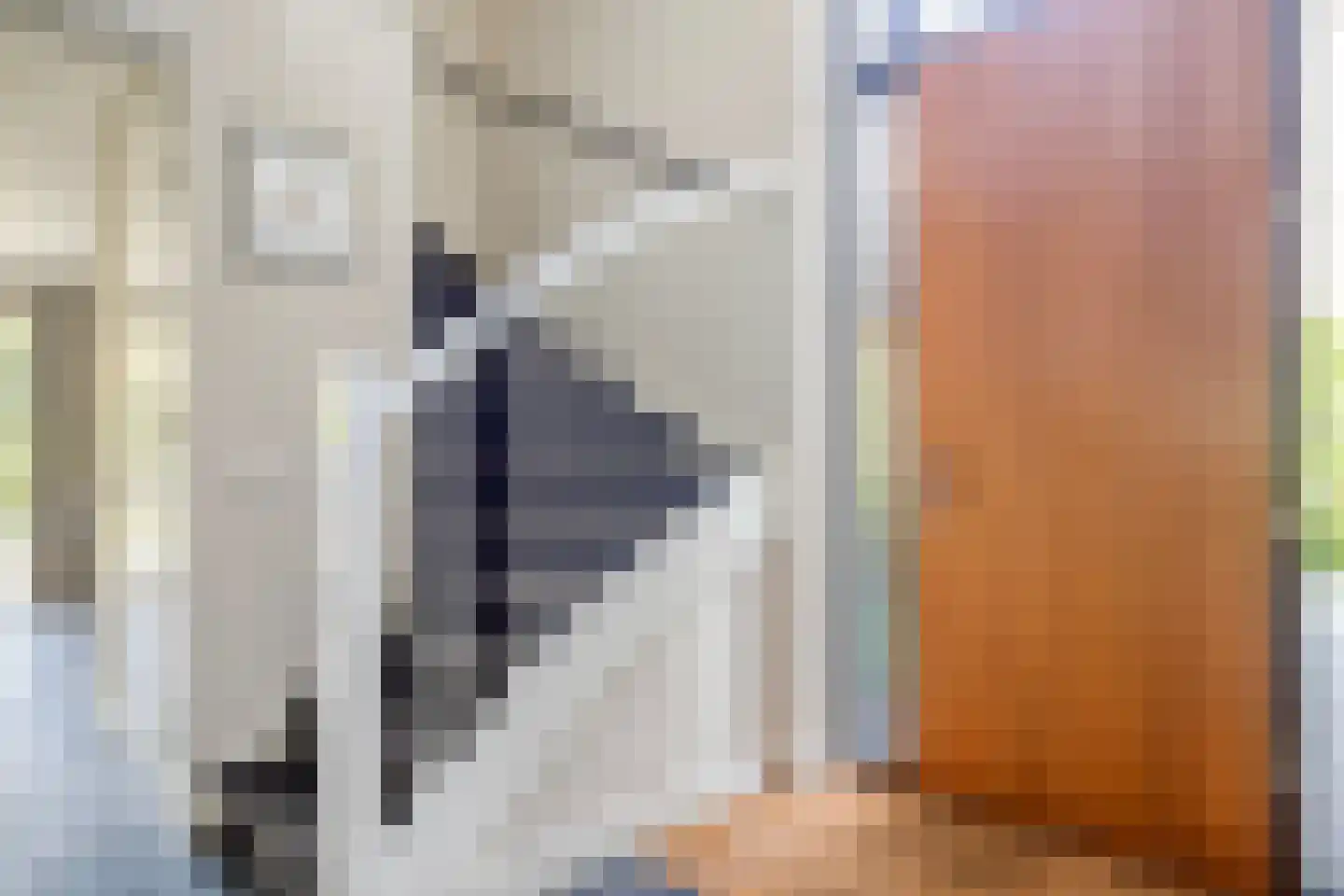 Graaf Lodewijklaan 9 B Zeist thumbnail 19