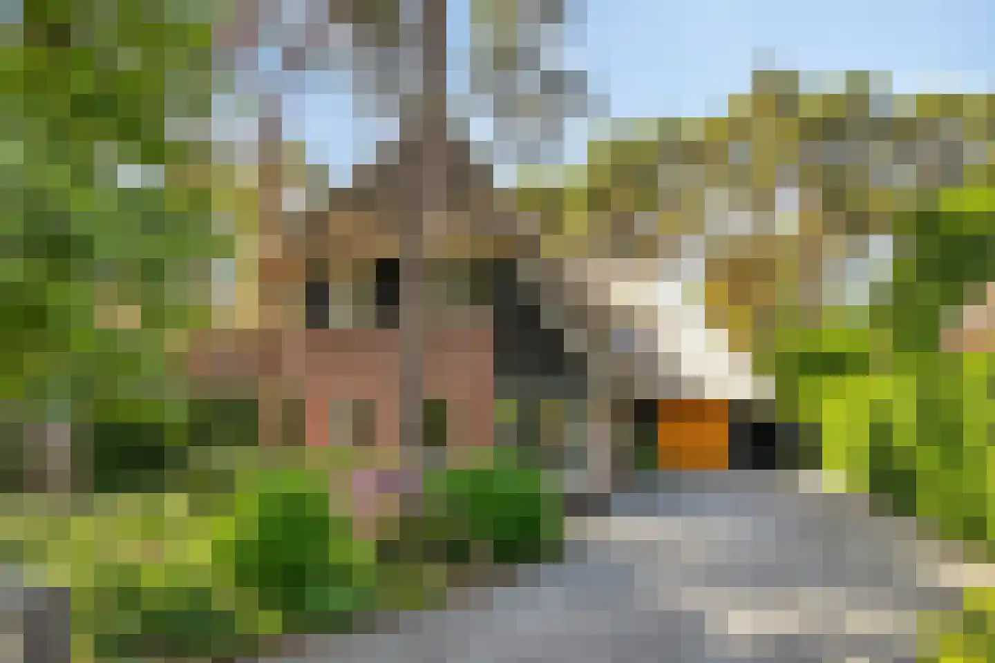 Graaf Lodewijklaan 9 B Zeist foto 2