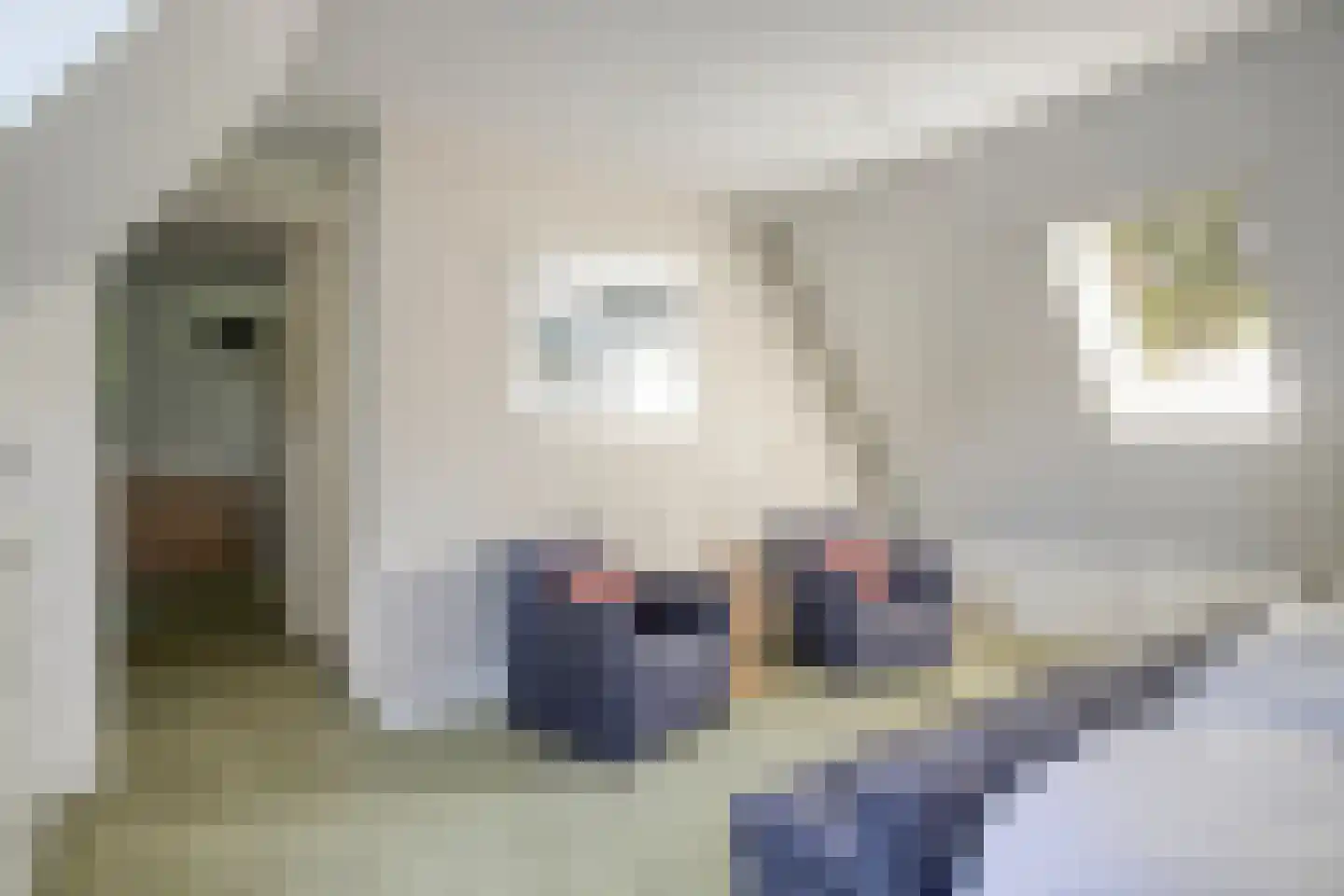 Graaf Lodewijklaan 9 B Zeist thumbnail 23