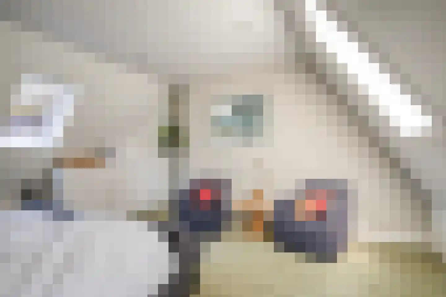 Graaf Lodewijklaan 9 B Zeist thumbnail 24
