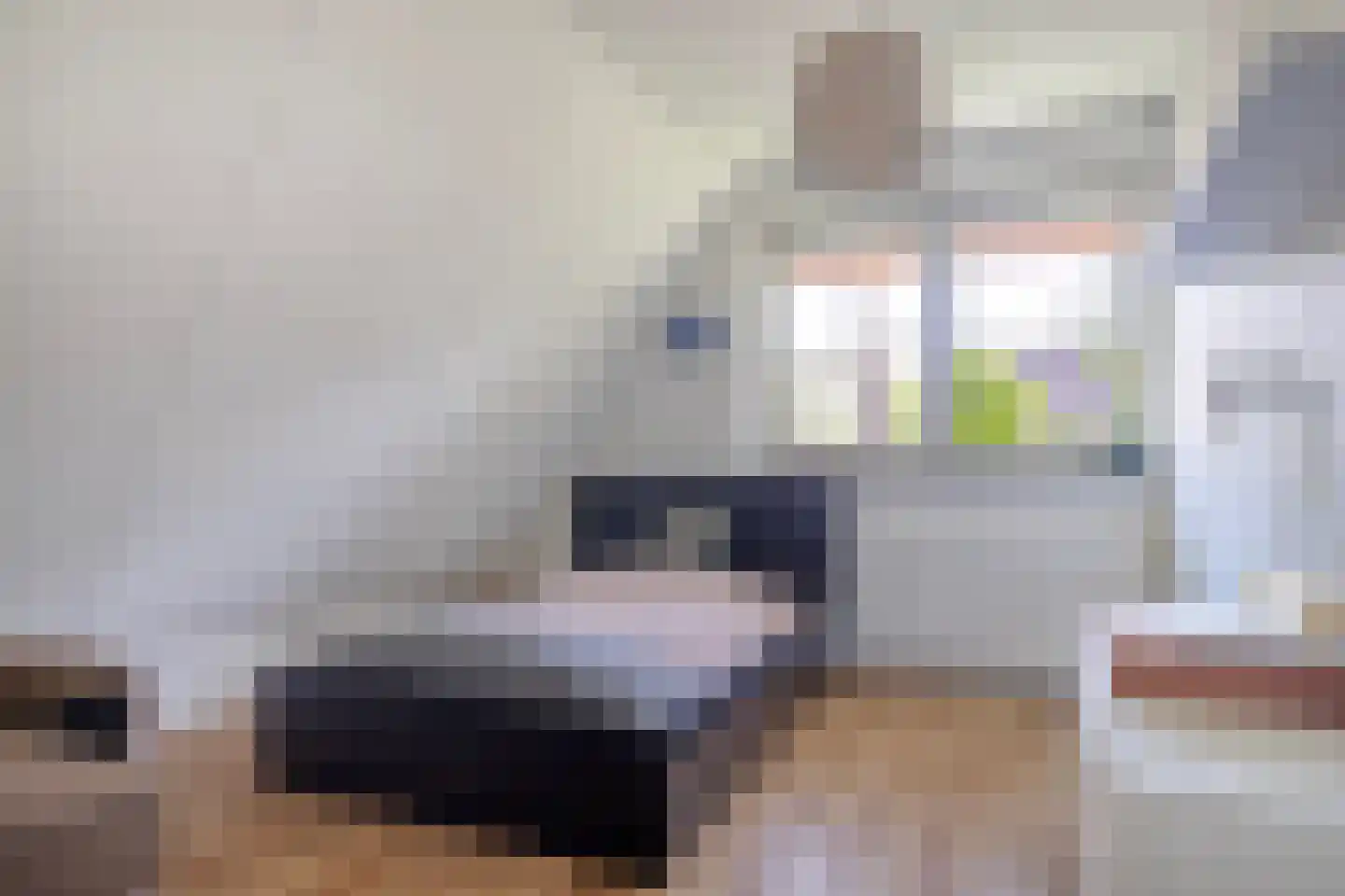Graaf Lodewijklaan 9 B Zeist thumbnail 29