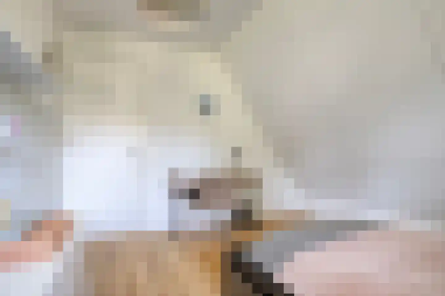 Graaf Lodewijklaan 9 B Zeist thumbnail 30