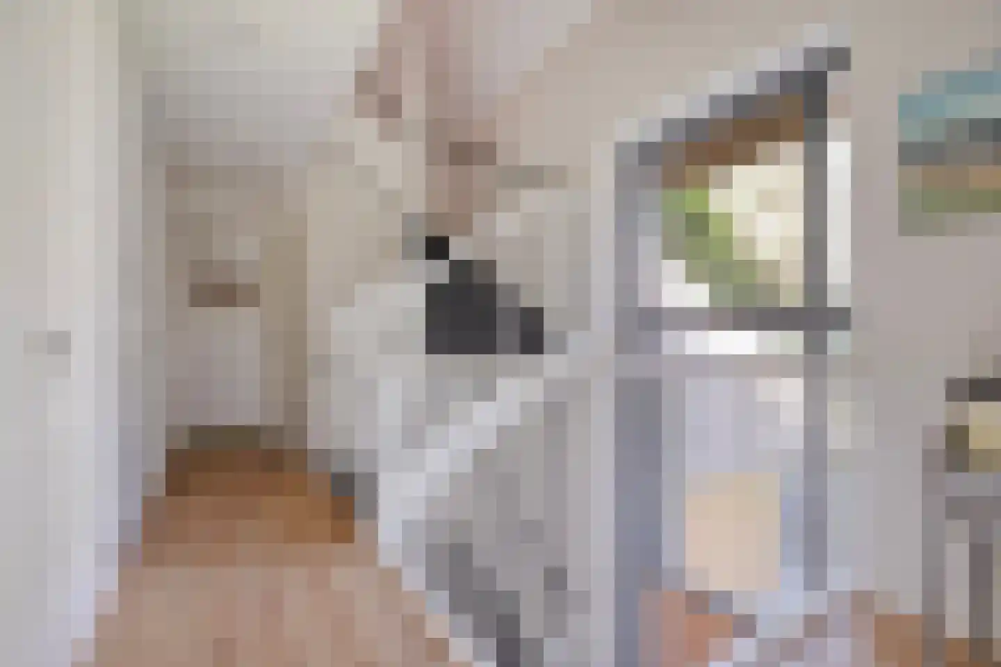 Graaf Lodewijklaan 9 B Zeist thumbnail 36