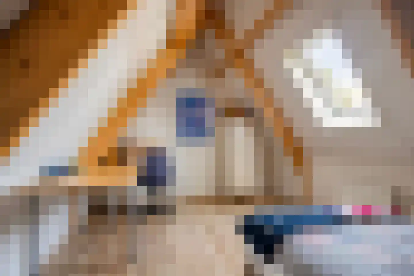 Graaf Lodewijklaan 9 B Zeist thumbnail 39