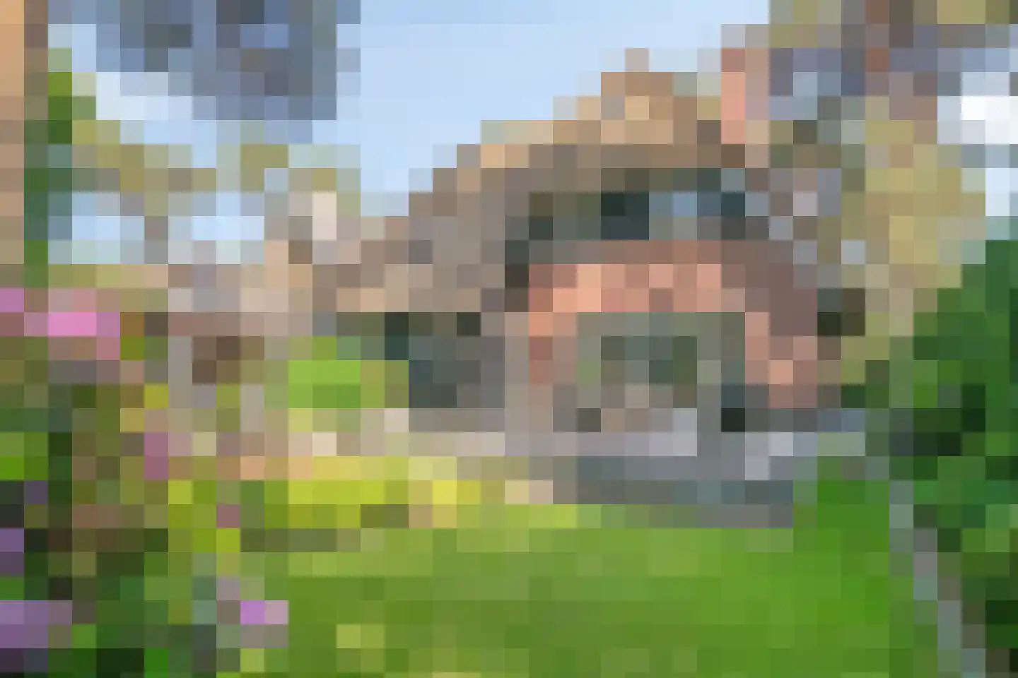 Graaf Lodewijklaan 9 B Zeist thumbnail 42