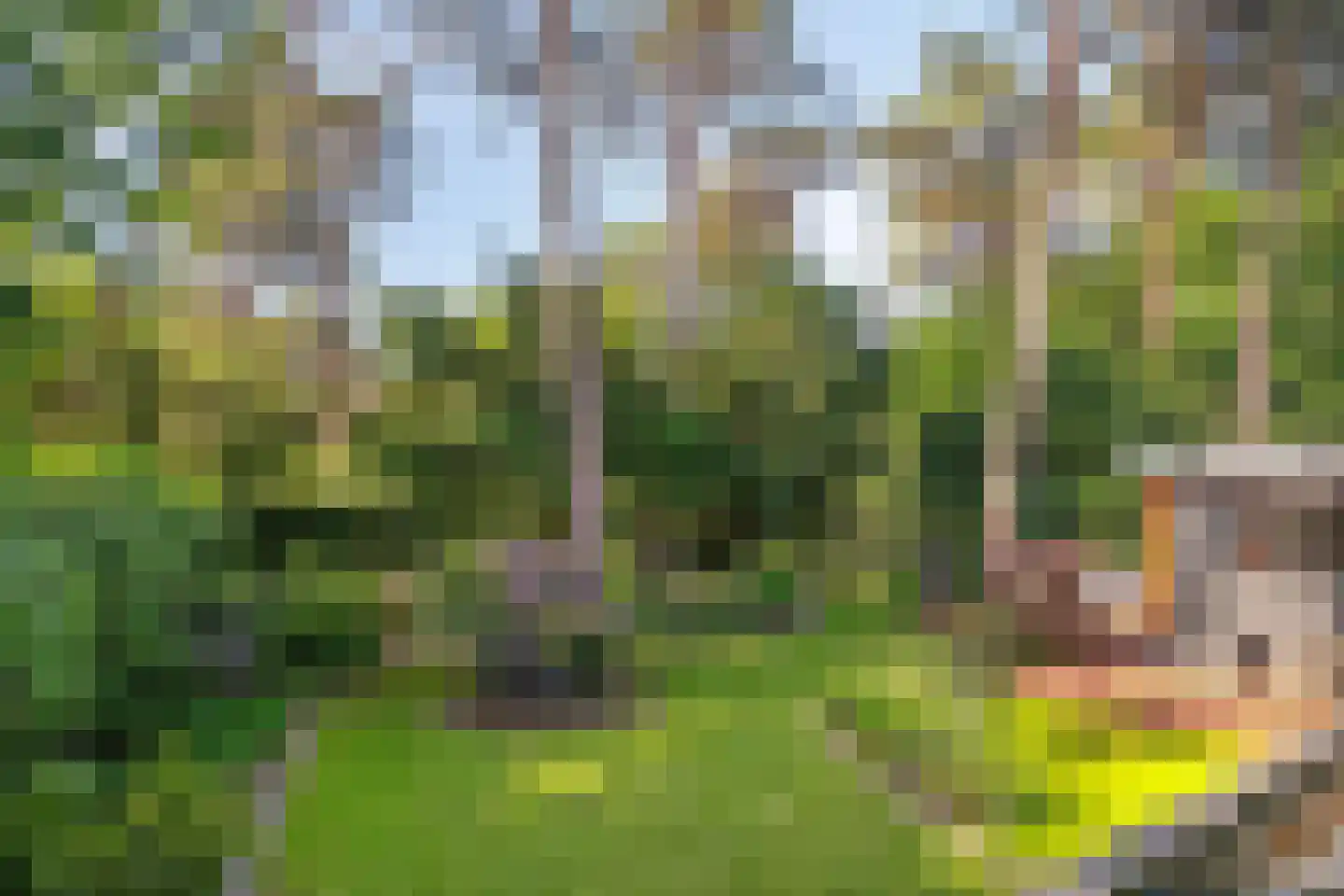 Graaf Lodewijklaan 9 B Zeist thumbnail 49
