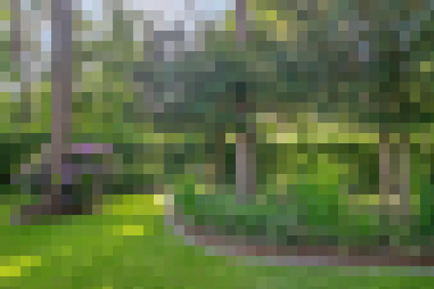 Graaf Lodewijklaan 9 B Zeist thumbnail 50