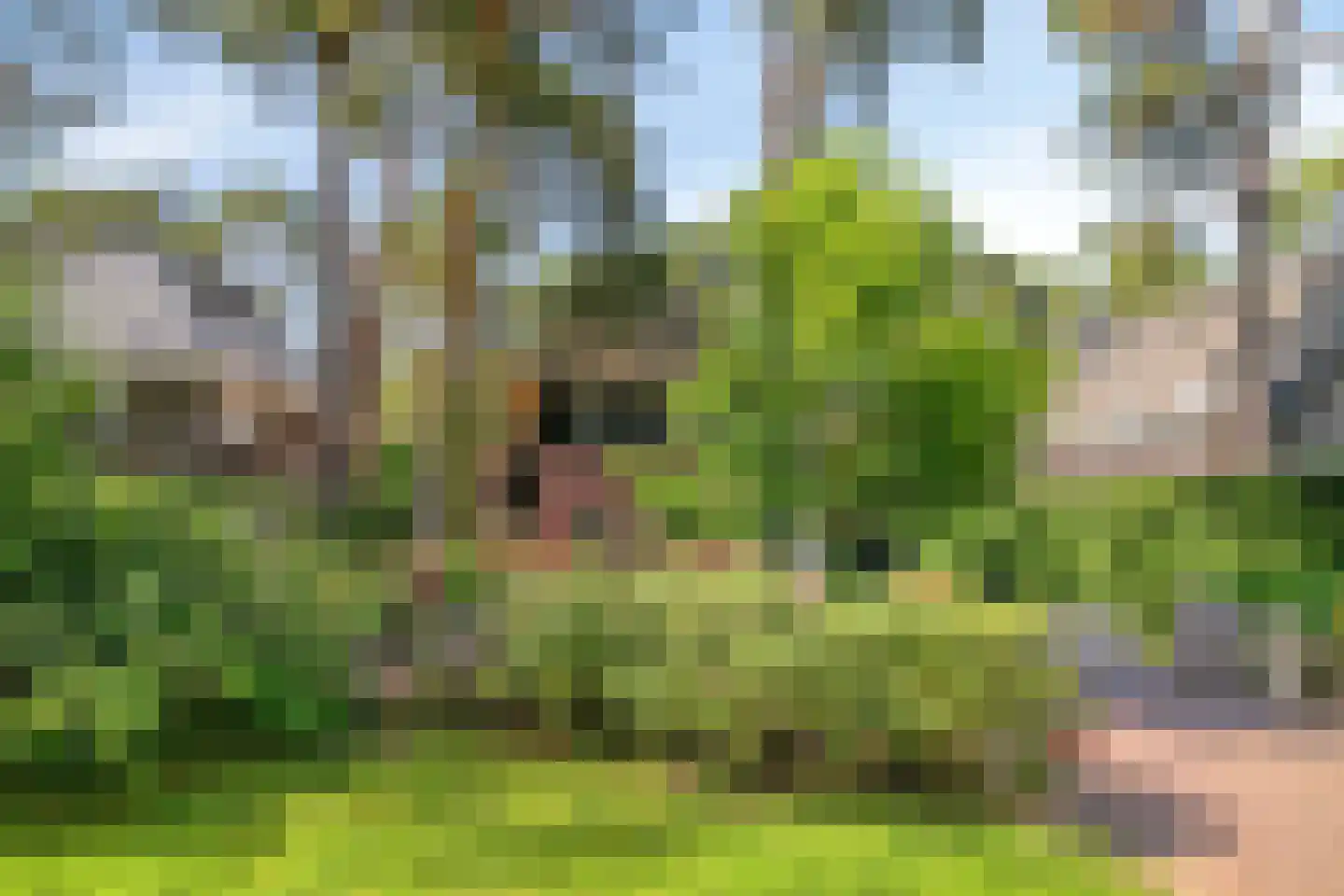 Graaf Lodewijklaan 9 B Zeist thumbnail 55