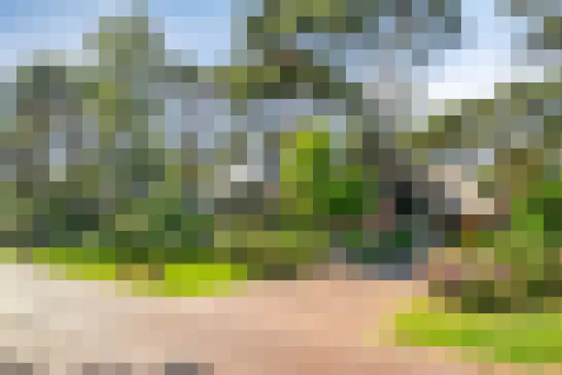 Graaf Lodewijklaan 9 B Zeist thumbnail 56