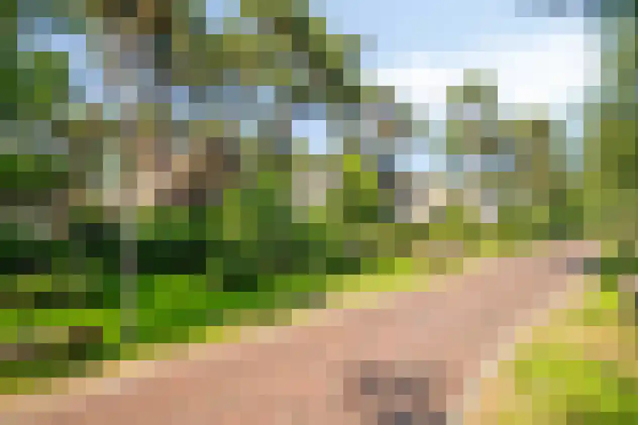 Graaf Lodewijklaan 9 B Zeist thumbnail 57