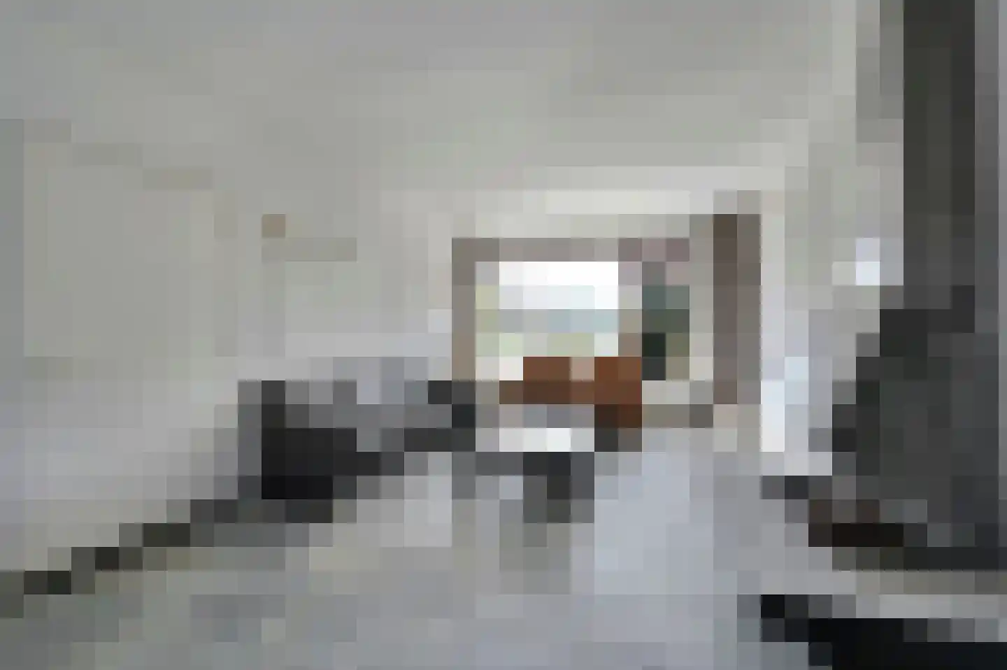 Graaf Lodewijklaan 9 Leidschendam thumbnail 10
