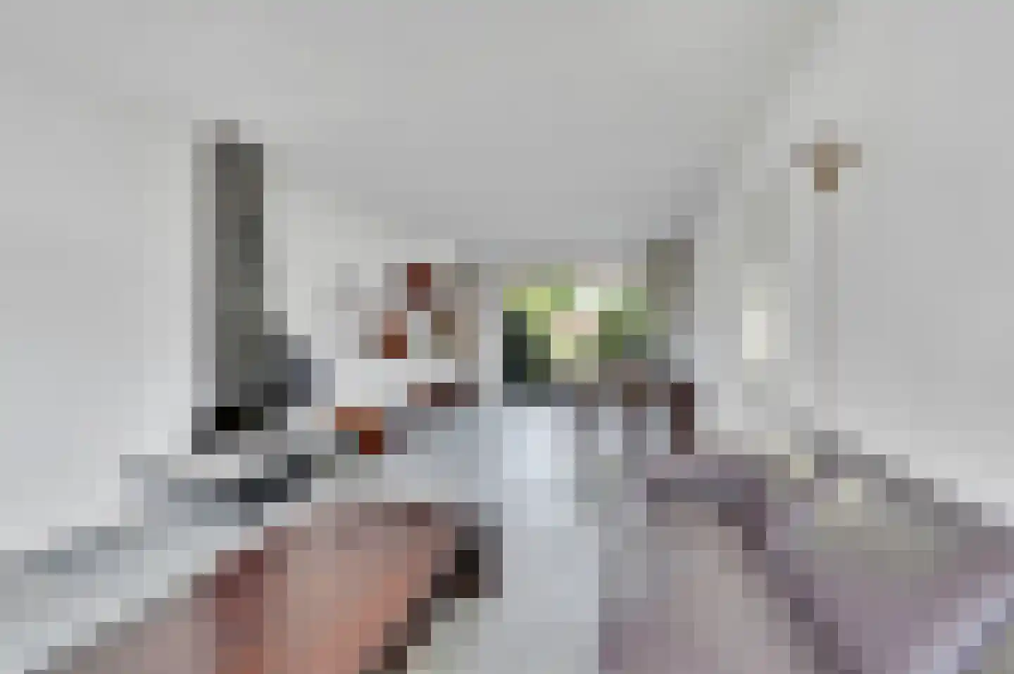 Graaf Lodewijklaan 9 Leidschendam thumbnail 11