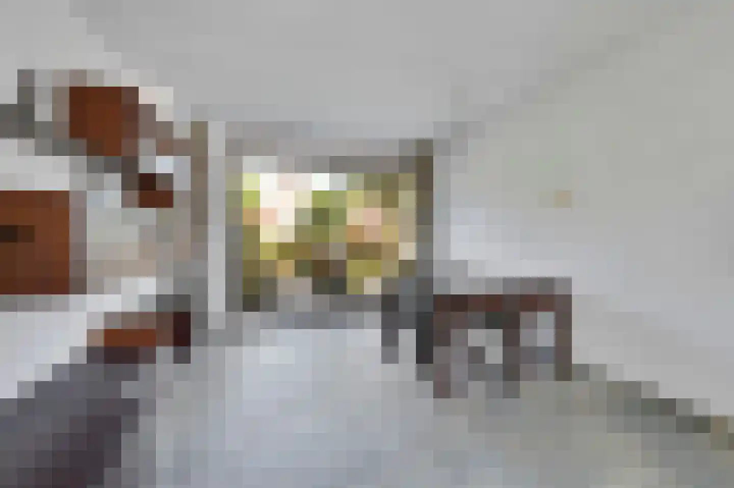 Graaf Lodewijklaan 9 Leidschendam thumbnail 12