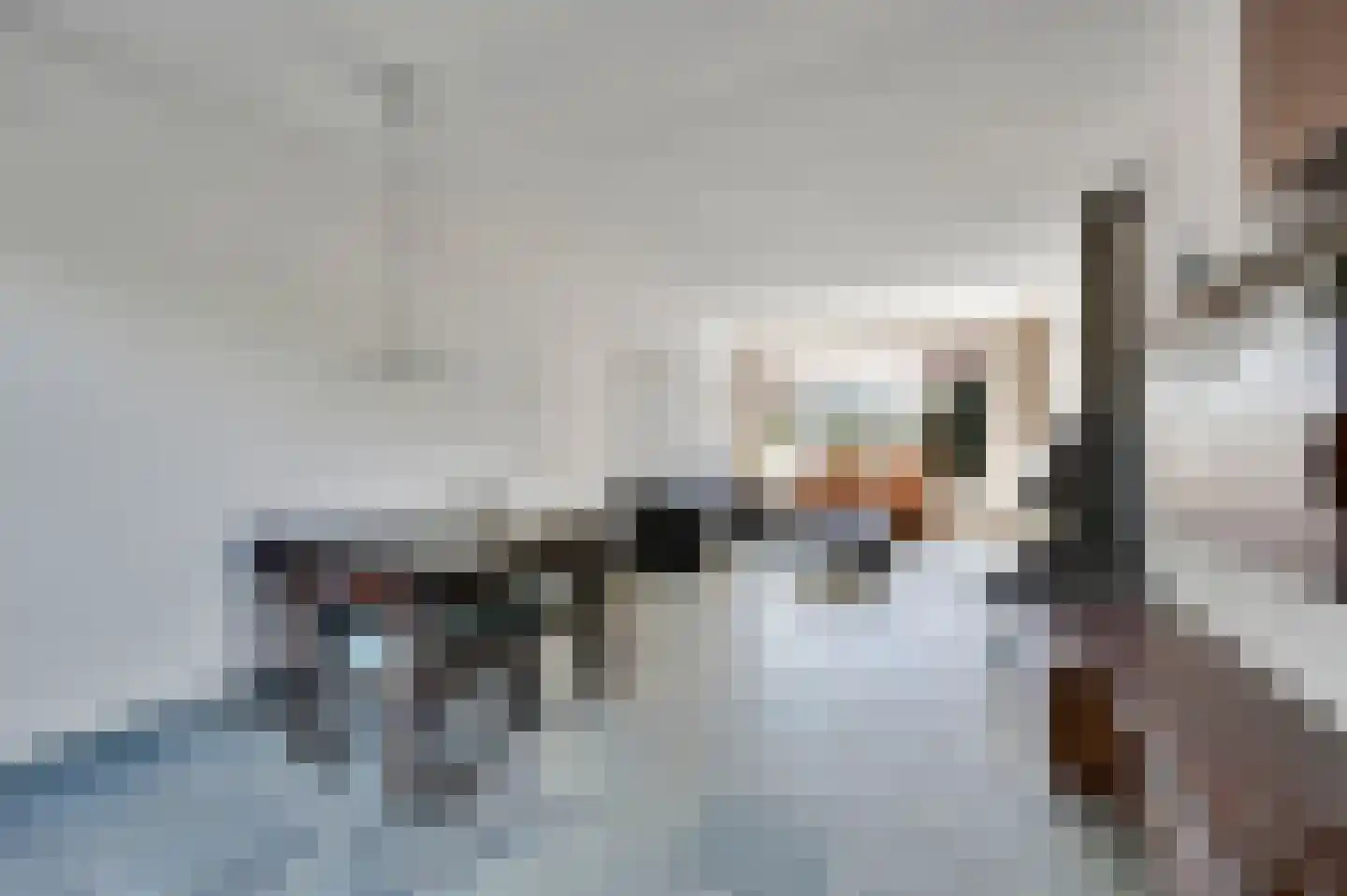 Graaf Lodewijklaan 9 Leidschendam thumbnail 13