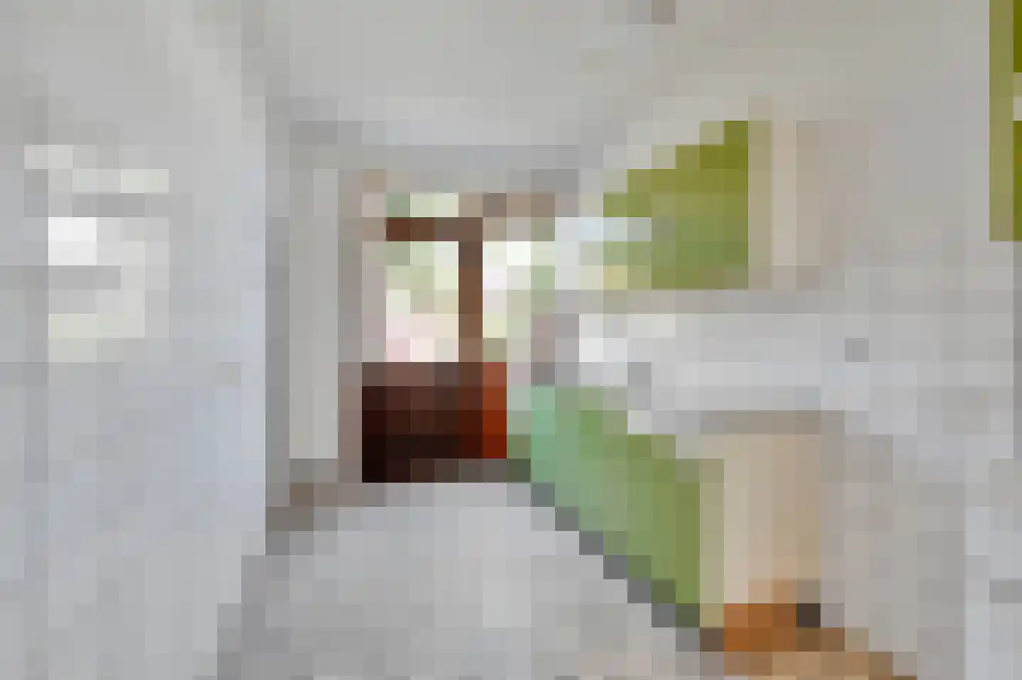 Graaf Lodewijklaan 9 Leidschendam thumbnail 15