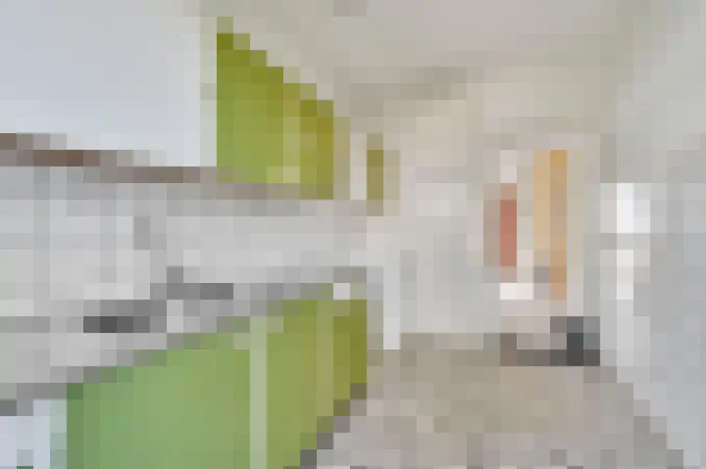 Graaf Lodewijklaan 9 Leidschendam thumbnail 16