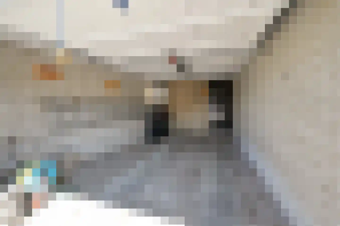 Graaf Lodewijklaan 9 Leidschendam thumbnail 40