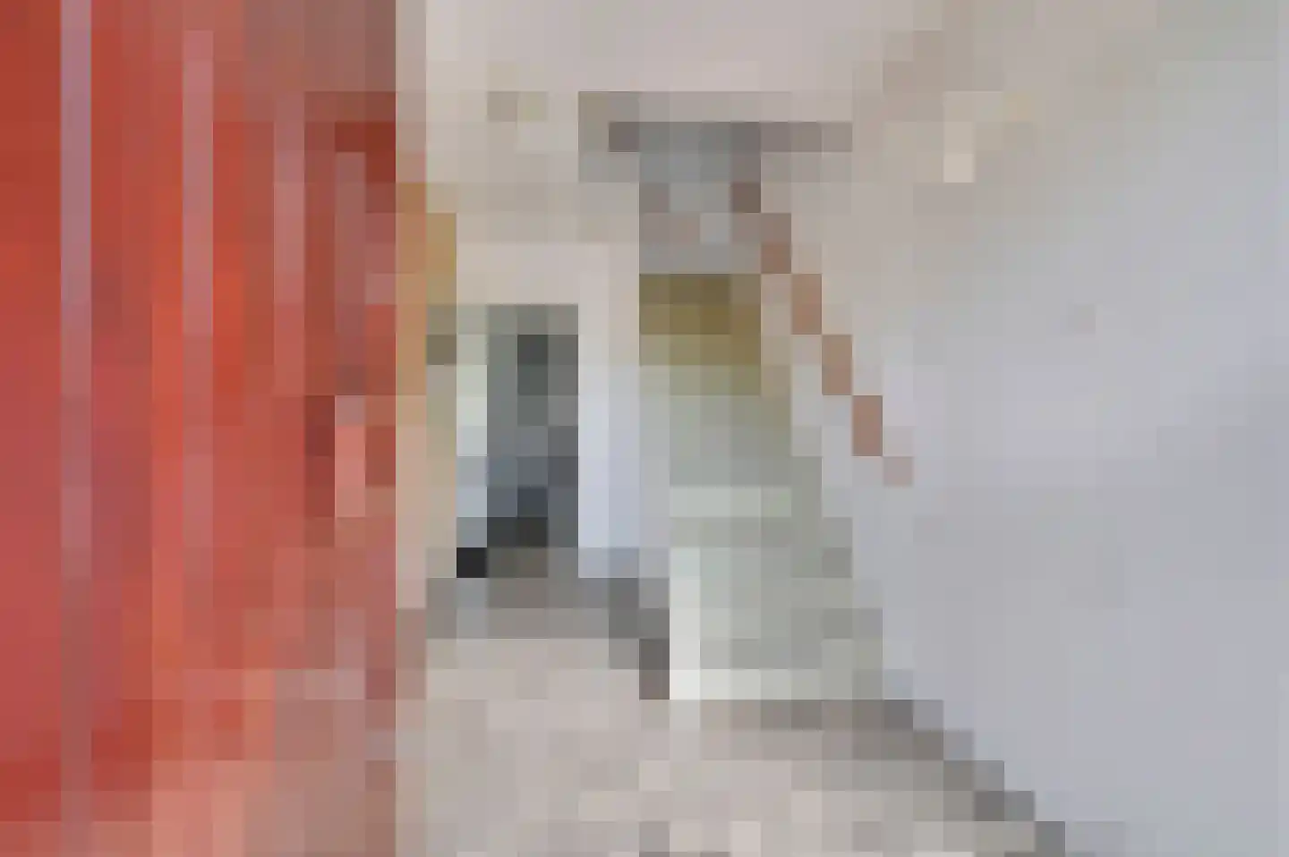 Graaf Lodewijklaan 9 Leidschendam thumbnail 5