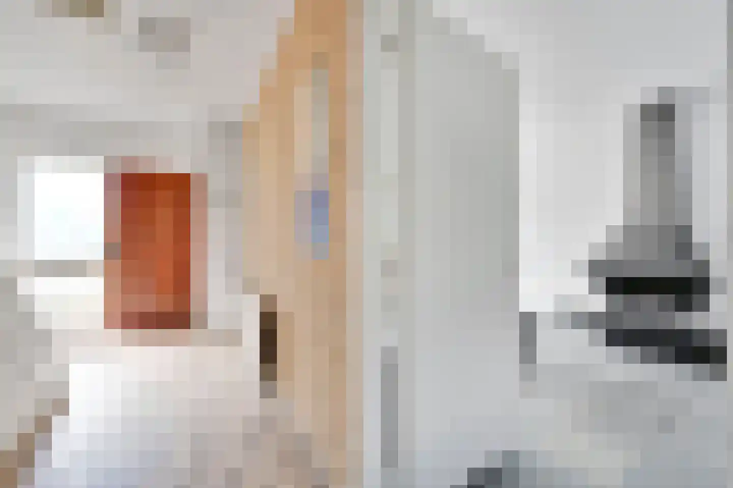 Graaf Lodewijklaan 9 Leidschendam thumbnail 8