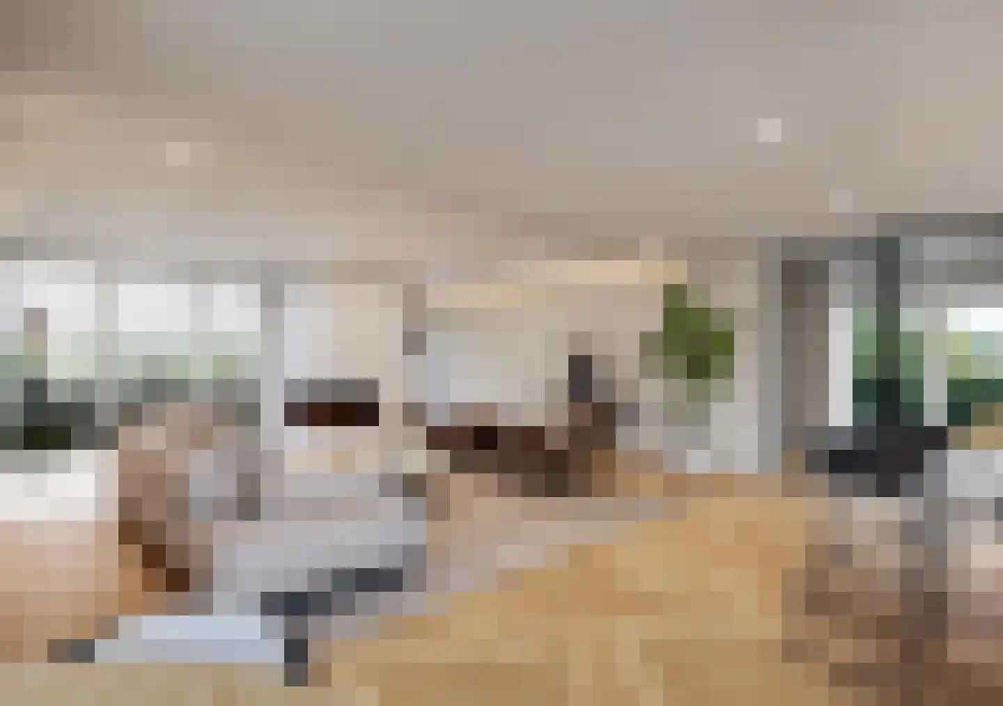 Graaf Lodewijklaan 9 Zwartsluis thumbnail 18