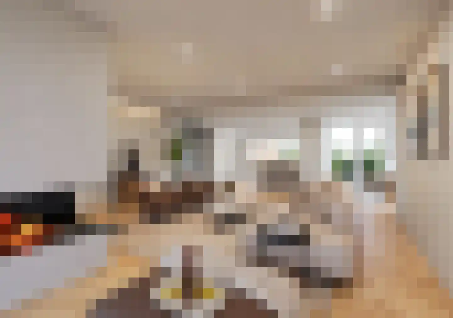 Graaf Lodewijklaan 9 Zwartsluis thumbnail 20