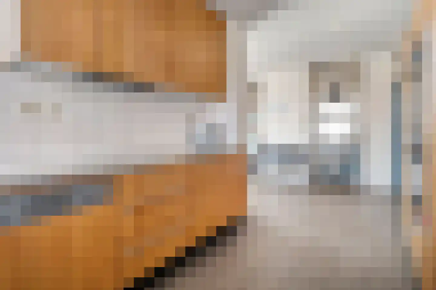 Graaf Lodewijklaan 9 Zwartsluis thumbnail 26