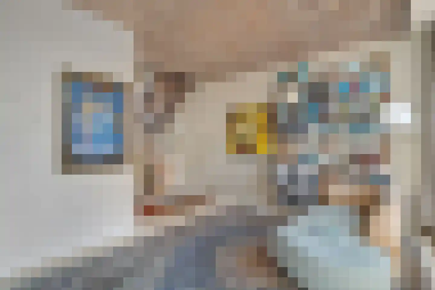 Graaf Lodewijklaan 9 Zwartsluis thumbnail 34
