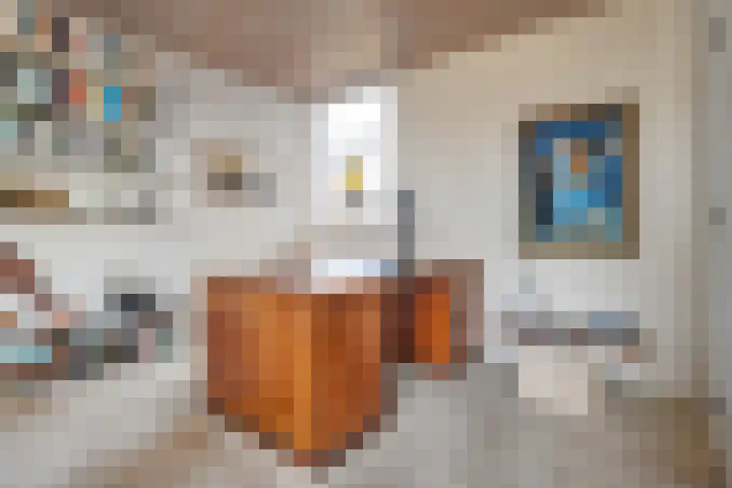 Graaf Lodewijklaan 9 Zwartsluis thumbnail 36