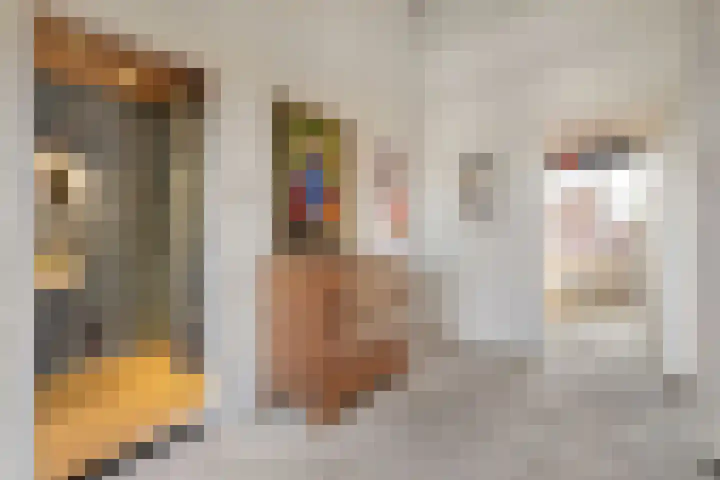 Graaf Lodewijklaan 9 Zwartsluis thumbnail 37